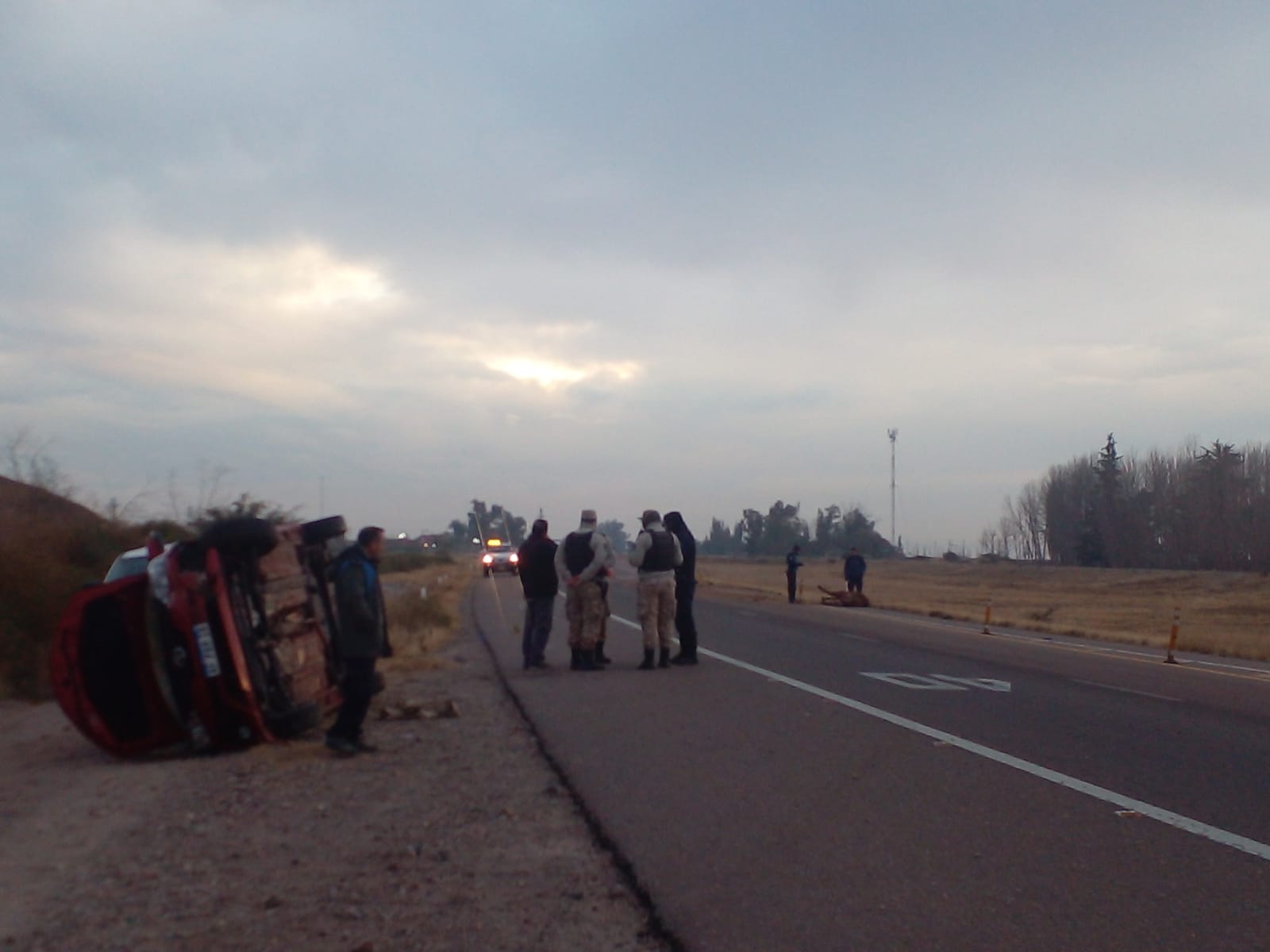 Accidente en la ruta 40: Un caballo murió al ser embestido por dos ...